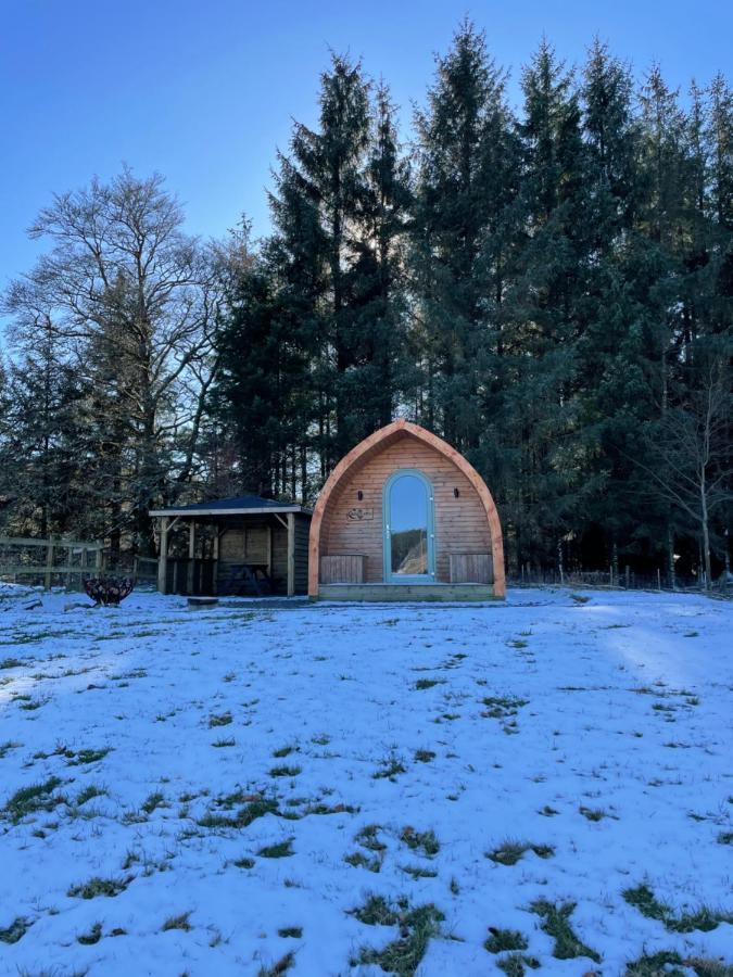 Luxury Rural Ayrshire Glamping Pod Hotel Dalmellington Bagian luar foto